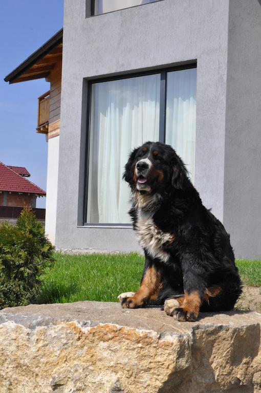 Villa Swiss ซาเชเล ภายนอก รูปภาพ
