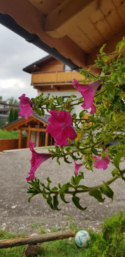 Villa Swiss ซาเชเล ภายนอก รูปภาพ