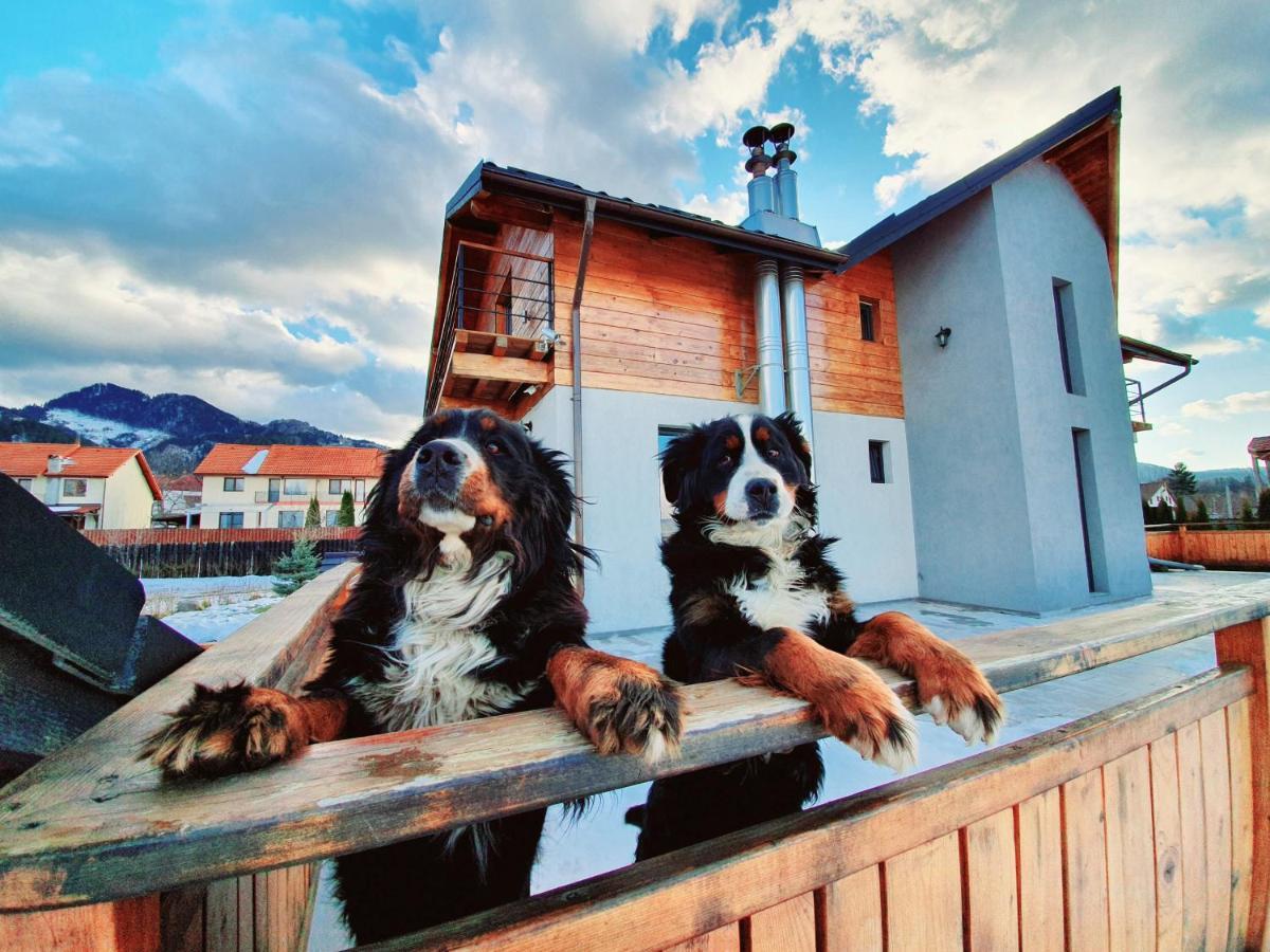 Villa Swiss ซาเชเล ภายนอก รูปภาพ